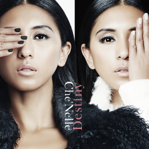 收聽Che'Nelle的Destiny歌詞歌曲