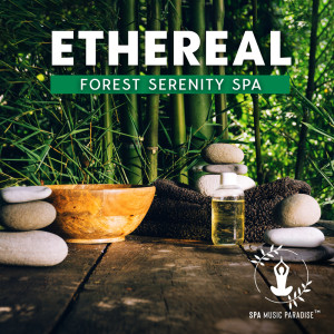 อัลบัม Ethereal Forest (Serenity Spa, Music to Cleanse Your Body and Soul, Mindful Treatment) ศิลปิน Spa Music Paradise