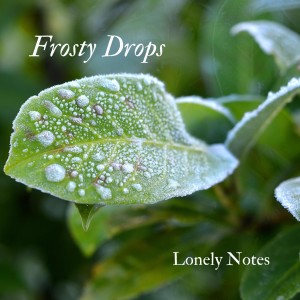 ดาวน์โหลดและฟังเพลง Frosty Drops พร้อมเนื้อเพลงจาก Street Adler