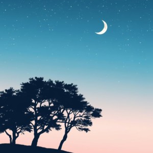 Brainwave Binaural System的專輯Calming Lofi Sounds for Sleepy Nights