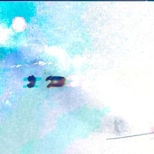 Listen to Limit is a ghost song with lyrics from Pslmrk