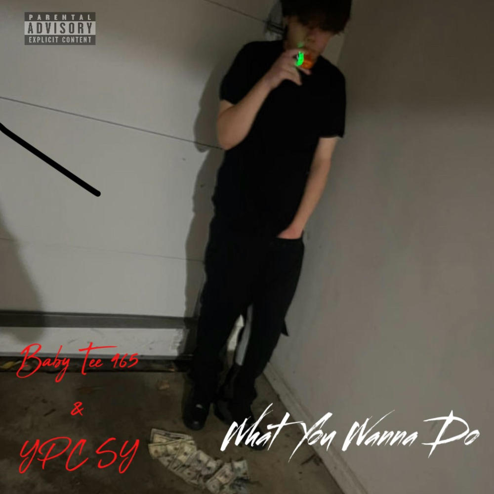 What You Wanna Do (W/ YPC Sy) (Explicit)