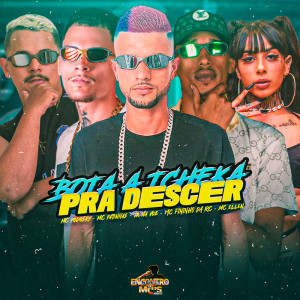 收听Mc Patinhas的BOTA A TCHEKA PRA DESCER (Explicit)歌词歌曲