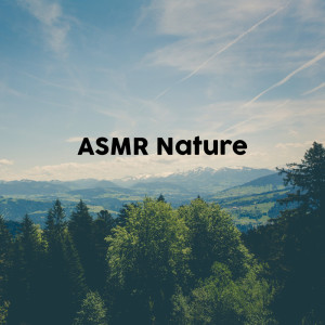 ดาวน์โหลดและฟังเพลง Asmr Water & Birds พร้อมเนื้อเพลงจาก Nature Recordings