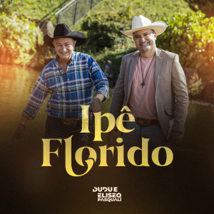 收听Dudu e Eliseo Pasquali的Ipê Florido歌词歌曲