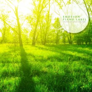 Dengarkan There's Too Much To Receive Nature Version (Nature Ver.) lagu dari Muse Piano dengan lirik