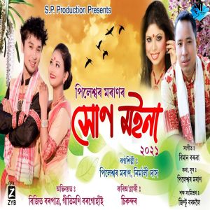 Dengarkan lagu Namdang nyanyian Pileswar Moran dengan lirik