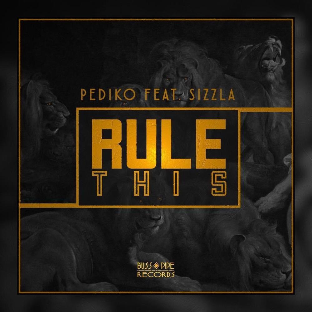 Rule This (feat. Sizzla) (Explicit)