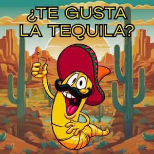 收聽MikyCiL的Tequila Bounce歌詞歌曲