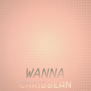Various Artists的專輯Wanna Caribbean