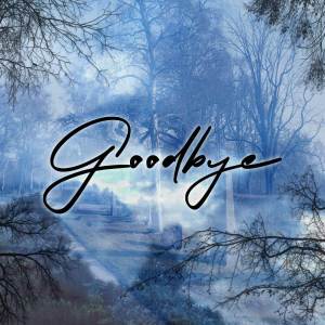收聽Aerhalev的Goodbye歌詞歌曲