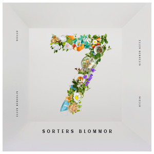 ดาวน์โหลดและฟังเพลง Sju sorters blommor พร้อมเนื้อเพลงจาก Ellen Bergelin