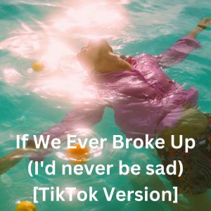 收聽群星的If We Ever Broke Up (I'd never be sad) [TikTok Version]歌詞歌曲