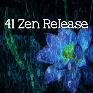 อัลบัม 41 Zen Release ศิลปิน Meditation