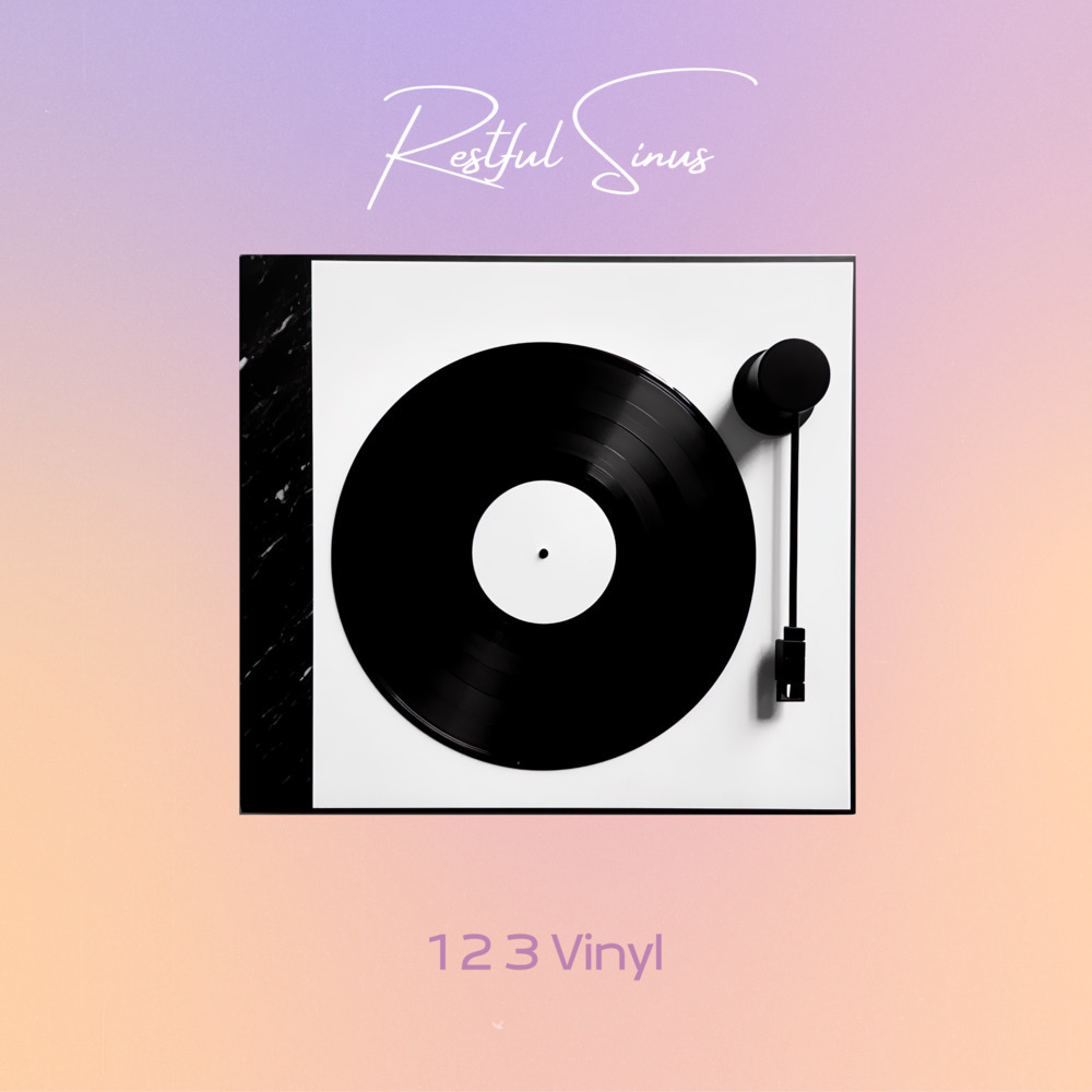 1 2 3 Vinyl - Crackling