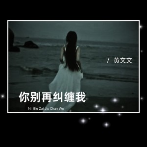 黄文文的专辑你别再纠缠我