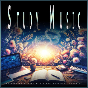 Study Music的專輯Study Music: Background Nature Music for Studying, Learning