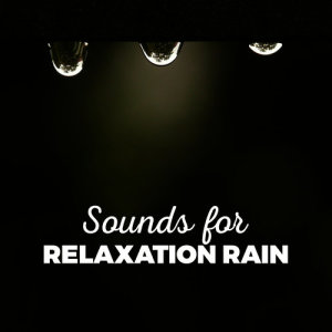ดาวน์โหลดและฟังเพลง Umbrella พร้อมเนื้อเพลงจาก Ambient Rain
