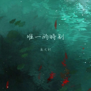 Album 唯一的特别 from 鹿文轩