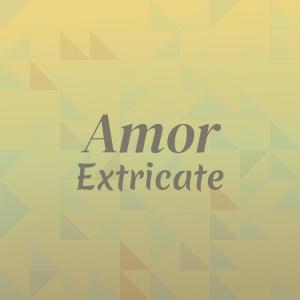 อัลบัม Amor Extricate ศิลปิน Various