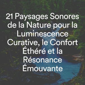 21 Paysages Sonores de la Nature pour la Luminescence Curative, le Confort Éthéré et la Résonance Émouvante dari Multi-interprètes