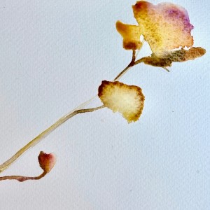 ดาวน์โหลดและฟังเพลง Crown พร้อมเนื้อเพลงจาก Ma Fleur