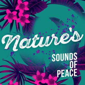 อัลบัม Nature's Sounds of Peace ศิลปิน Nature Sounds 2015