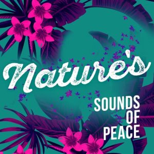 ดาวน์โหลดและฟังเพลง Changing Waters พร้อมเนื้อเพลงจาก Nature Sounds 2015