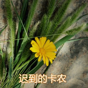 Dengarkan lagu 迟到的卡农 nyanyian 绿色音符 dengan lirik