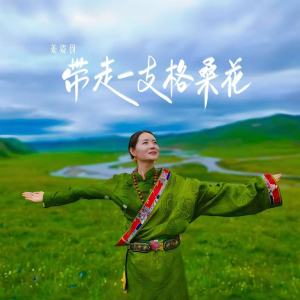 Album 带走一支格桑花 from 姜姿伢