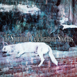 Listen to Storm Chill song with lyrics from Rain Sounds & White Noise