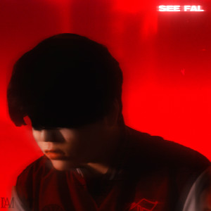 Album SEE FAR (Explicit) from somsatang
