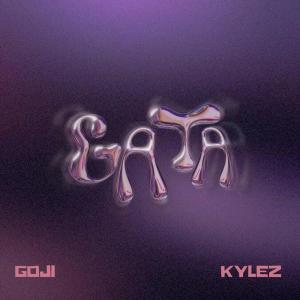 Listen to GATA (Explicit) song with lyrics from Kylez