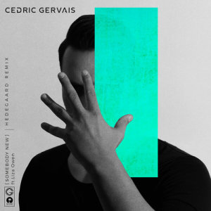 收聽Cedric Gervais的Somebody New (HEDEGAARD Remix)歌詞歌曲