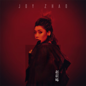 Dengarkan lagu I Will Miss You nyanyian 趙晨唏 dengan lirik
