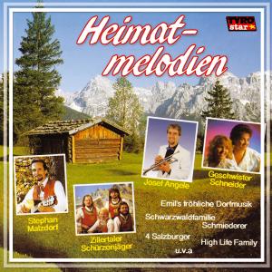 Dengarkan lagu Es steht eine Mühle im Schwarzwäldertal nyanyian High Life Family dengan lirik