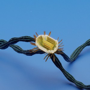 收聽Extraa的Quand la ville dort歌詞歌曲