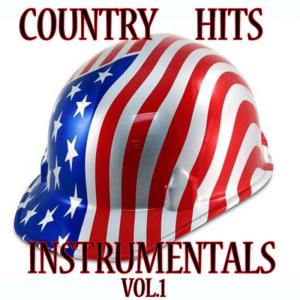 อัลบัม Country Hits Vol.1 ศิลปิน Instrumental Hits