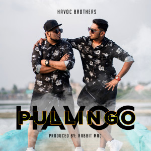 收聽Havoc Brothers的Havoc Pullingo歌詞歌曲