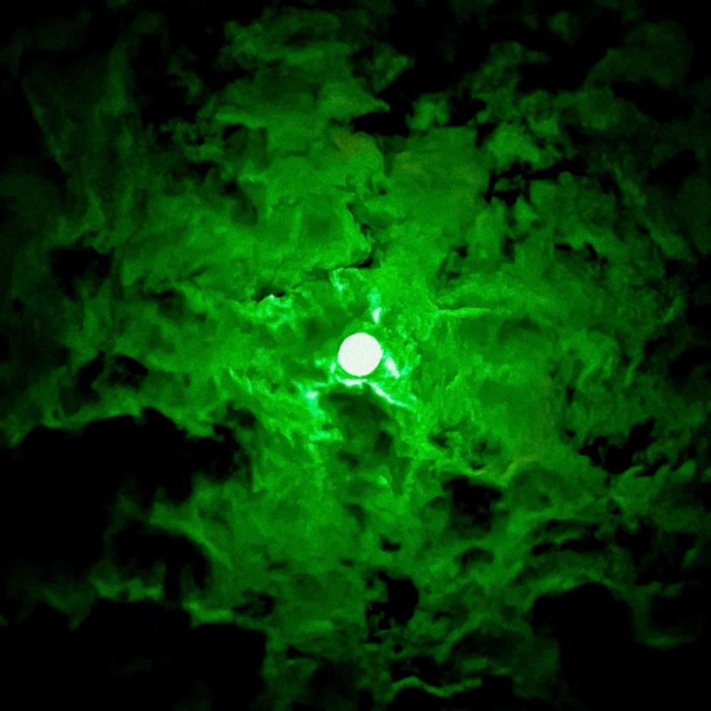 Greenvillains (feat. Kurt Cocaine) (Explicit)