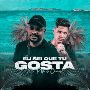 Album Eu Sei Que Tu Gosta (Explicit) from 