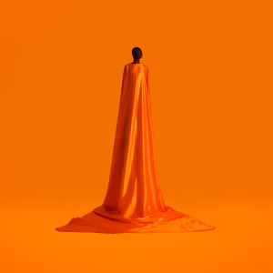 Album Faceless from Wayne Snow