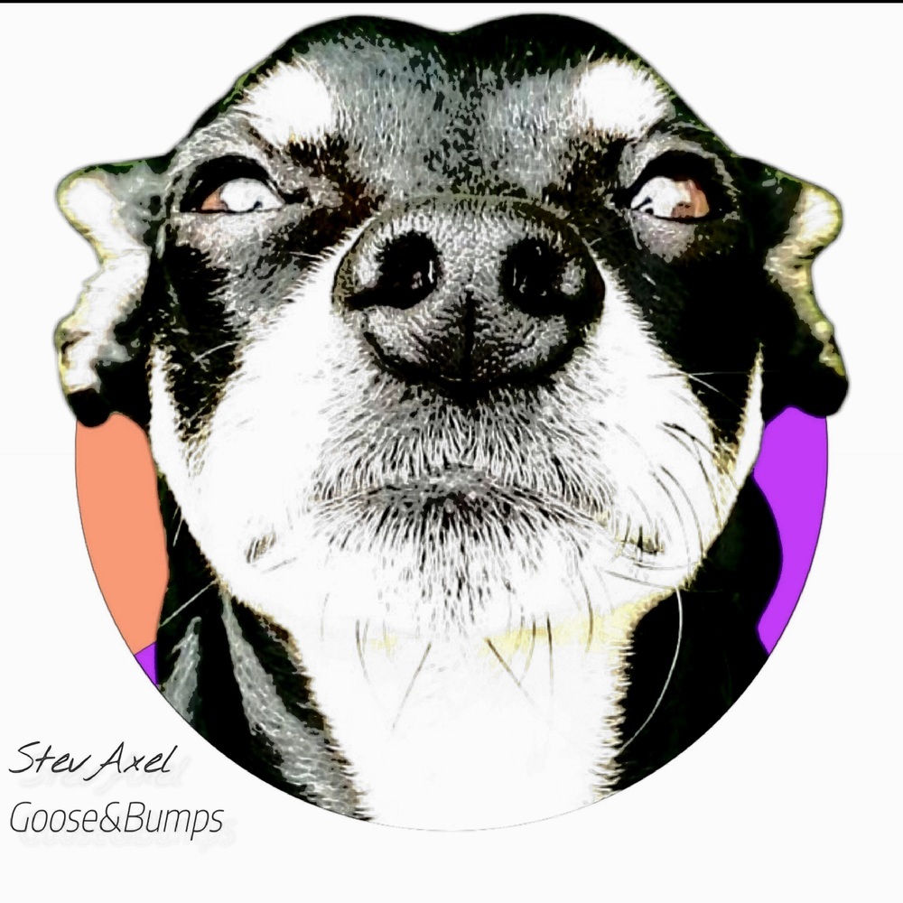 Goose & Bumps
