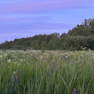 Dengarkan Memory lagu dari ILOVEDARKSUN dengan lirik