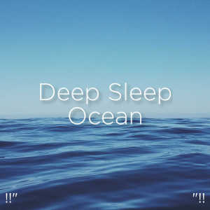 ดาวน์โหลดและฟังเพลง Ocean Sounds For Deep Sleep พร้อมเนื้อเพลงจาก Ocean Sounds