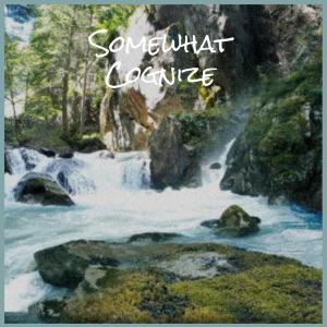 Listen to Somewhat Cognize song with lyrics from Alil Justas