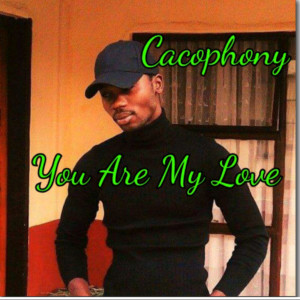 ดาวน์โหลดและฟังเพลง You Are My Love (Explicit) พร้อมเนื้อเพลงจาก Cacophony