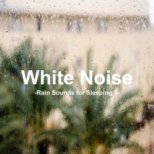 Album White Noise 1 - Rain Sounds for Sleeping 1 (Rain, Baby Sleep, White Noise, Deep Sleep, Nature Sounds) from White Noise