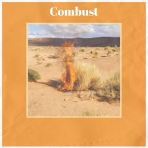 Dengarkan Everyone Evenings lagu dari Brorey dengan lirik