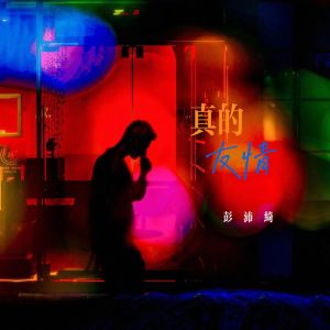 Listen to 真的友情 (DJ阿越版) song with lyrics from 彭沛绮